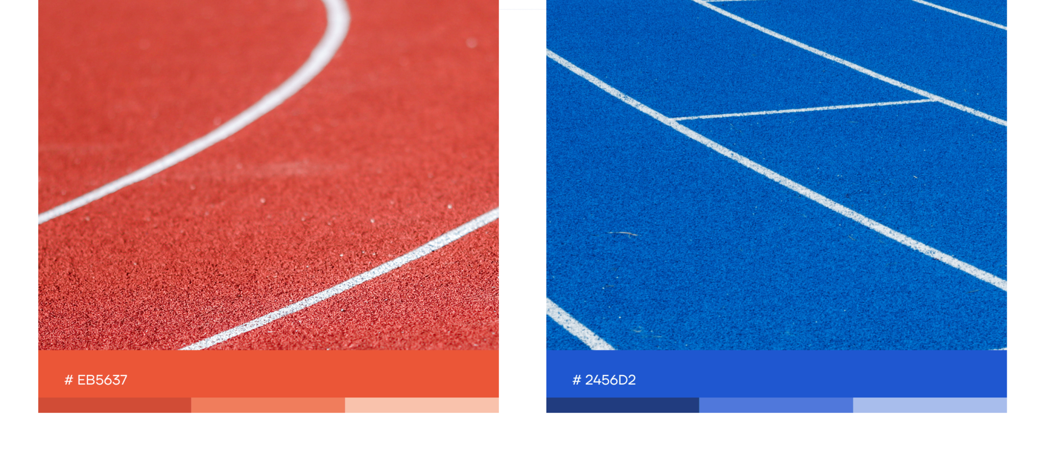 Kolory użyte w projekcie